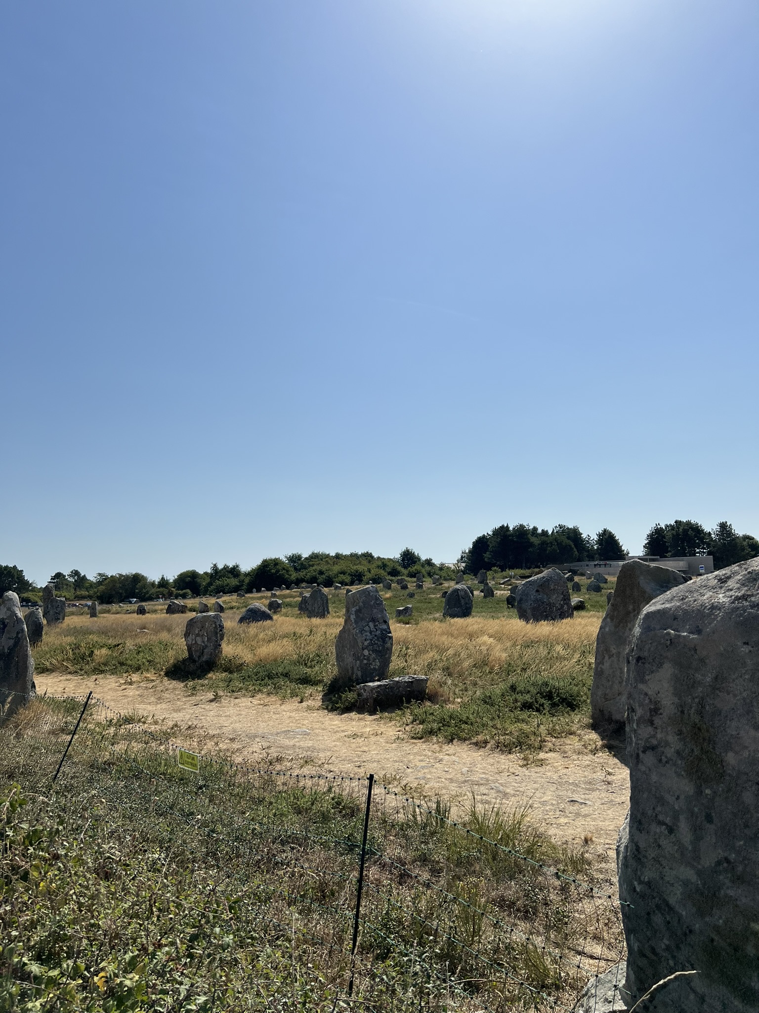 I famosi Menhir di Carnat fotografati durante l'itinerario on the road tra normandia e bretagna