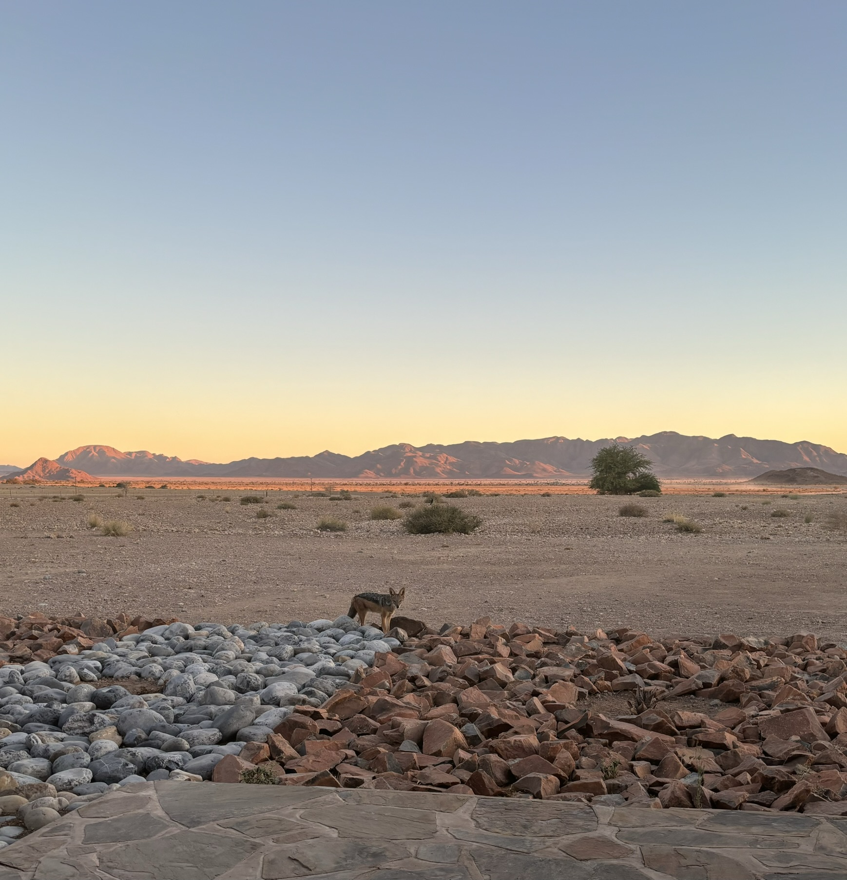 Strada sterrata nel deserto namibiano verso Sesriem