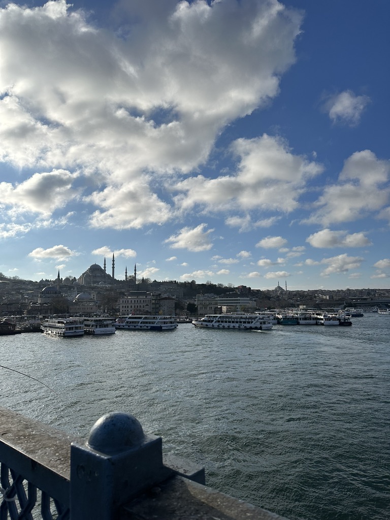 Bosforo dal Ponte di Galata ad Istanbul