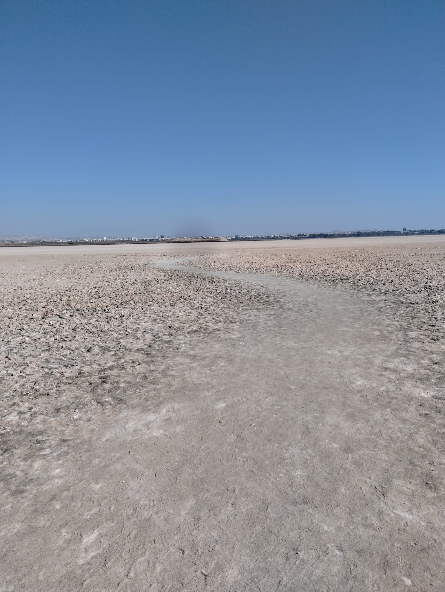 Lago salato di Larnaca in cipro durante la stagione estiva