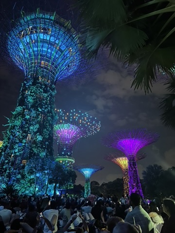 Gardens by the Bay di notte con i Supertrees illuminati