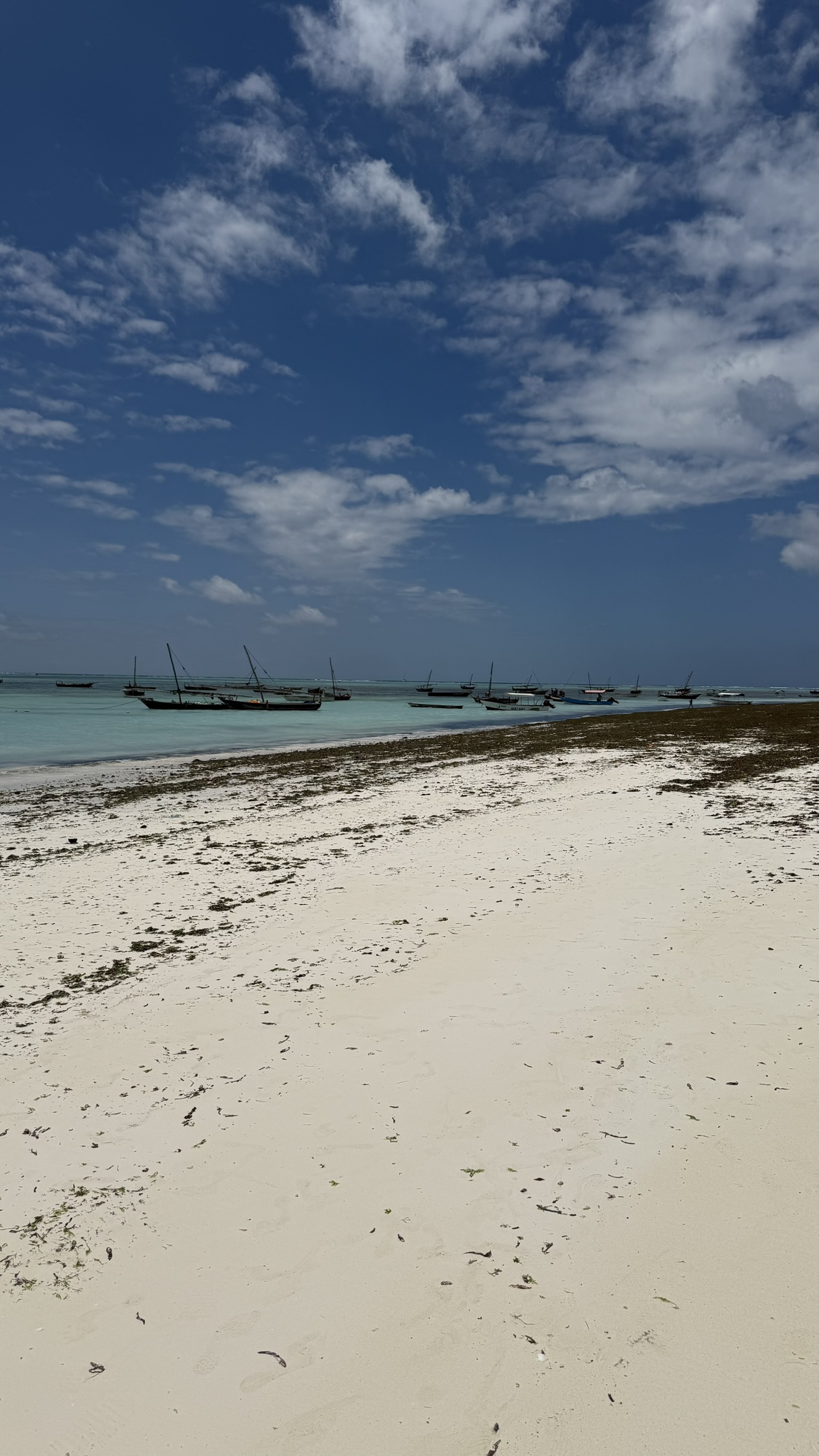 Mare di nungwi zanzibar durante una marea bassa