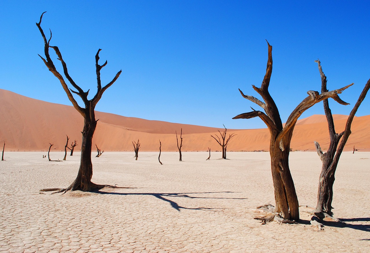 deadvlei namibia africa desert