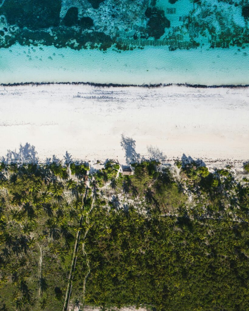 Stunning aerial view capturing Zanzibar's turquoise waters, white sand, and lush palms.