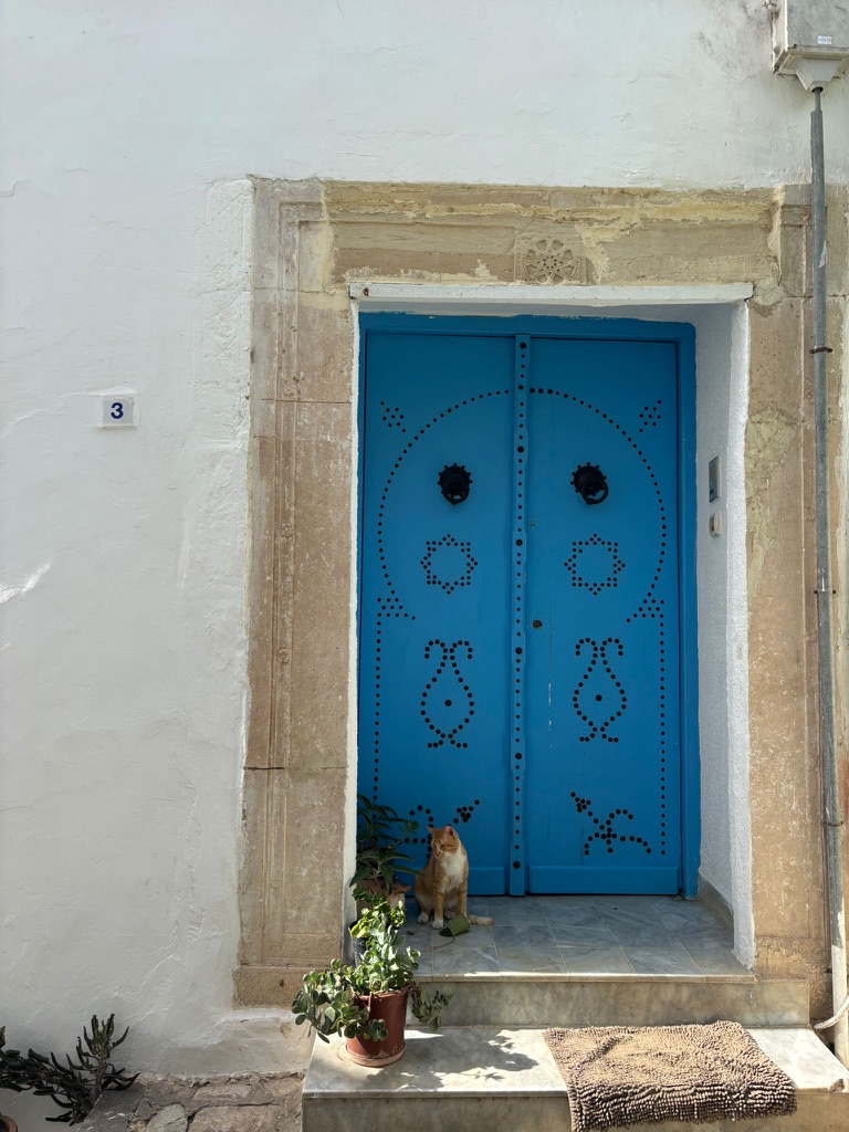 Portone blu a Tunisi